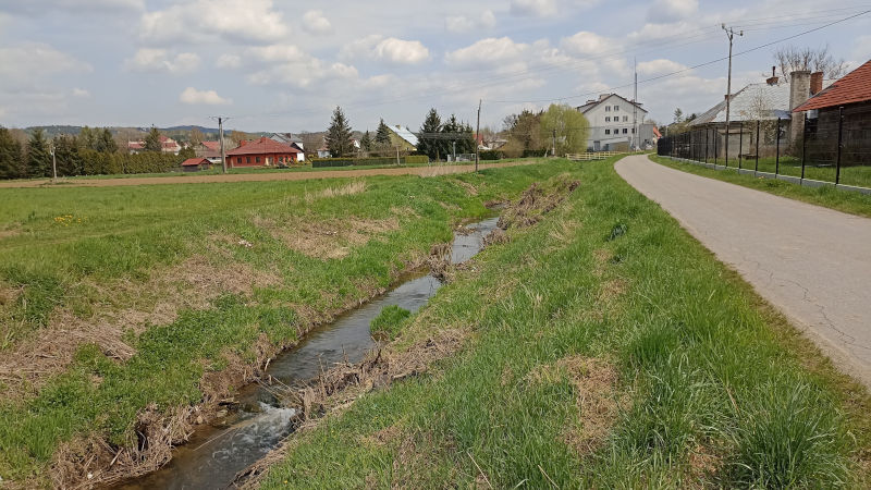 prace przedprojektowe potok słony