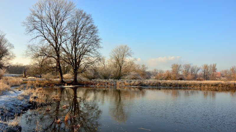 Ustalenie linii brzegu