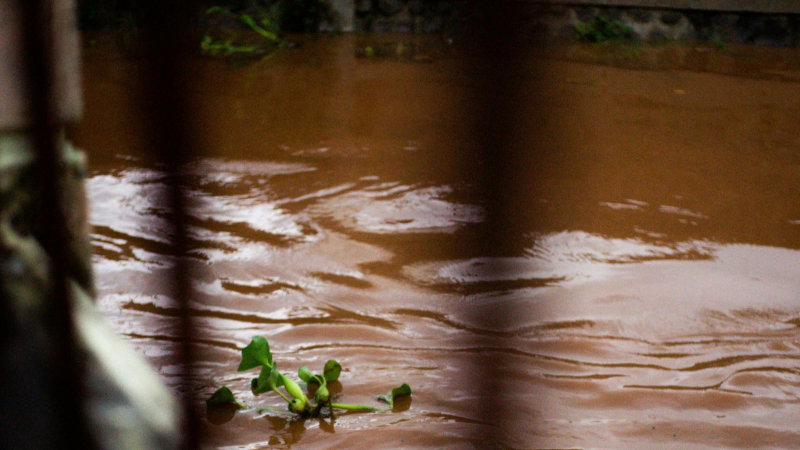 Flood in Poland 2024