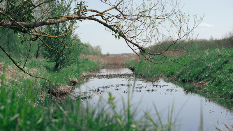 Plany kompleksowej renaturyzacji
