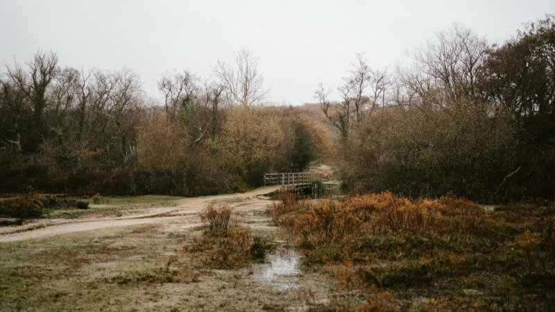 Retencja i melioracja – przyjaciele czy wrogowie?