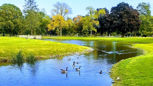 Zielono-niebieska infrastruktura