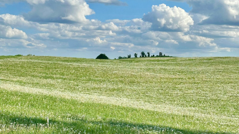 analiza przedinwestycyjna