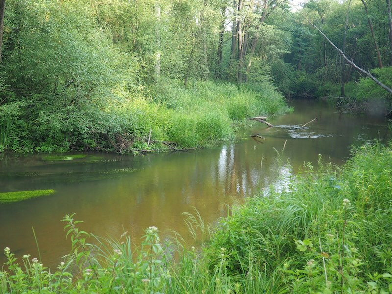 ustalenie linii brzegu