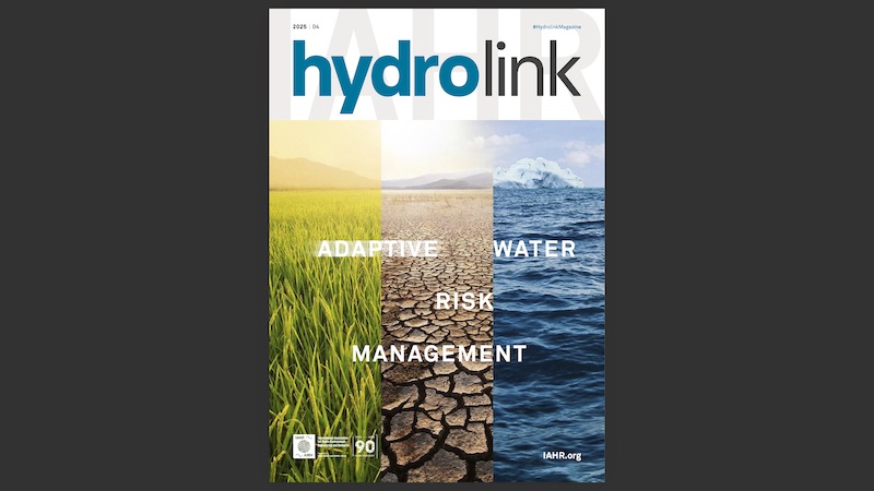 adaptacyjne zarządzanie ryzykiem wodnym adaptativer water risk management