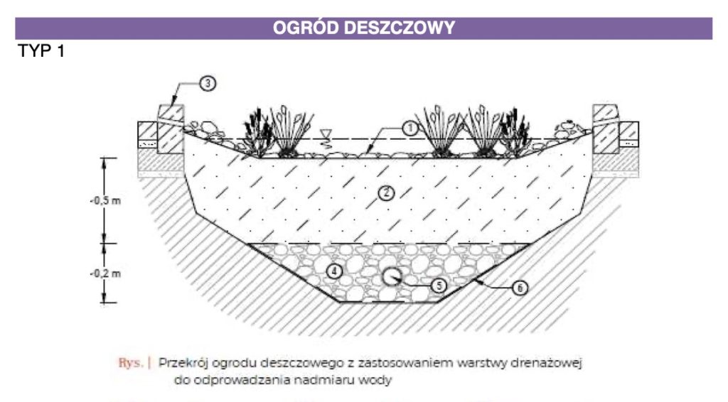 ogród deszczowy