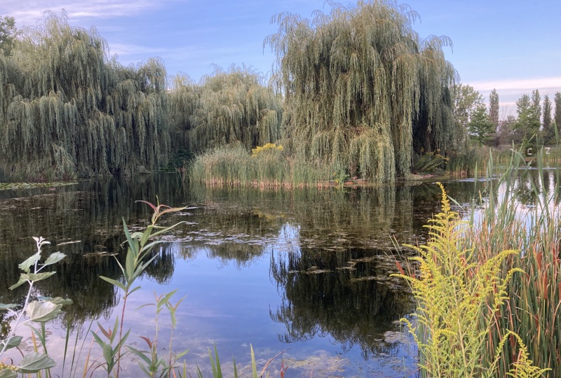 błękitno-zielona infrastruktura