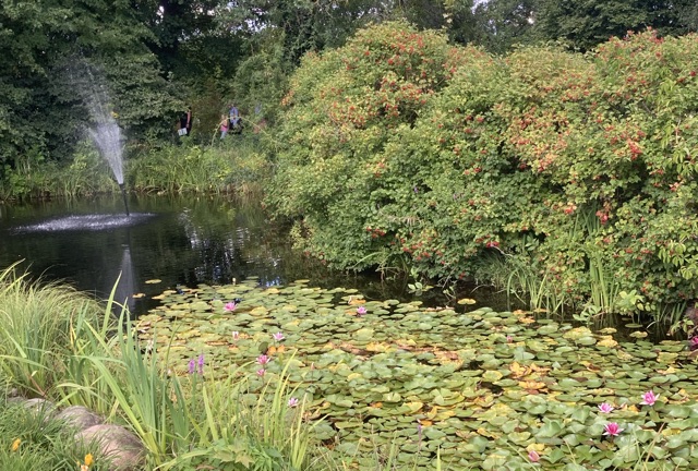 błekitno-zielona infrastruktura