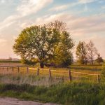 kiedy zlecić analizę hydrologiczną działki inwestycyjnej