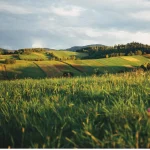 opinia hydrologiczna