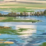 retencja i renaturyzacja